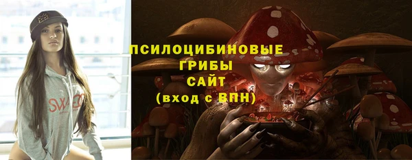 мяу мяу мука Алзамай