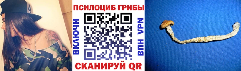 где найти   Сельцо  Псилоцибиновые грибы мухоморы 